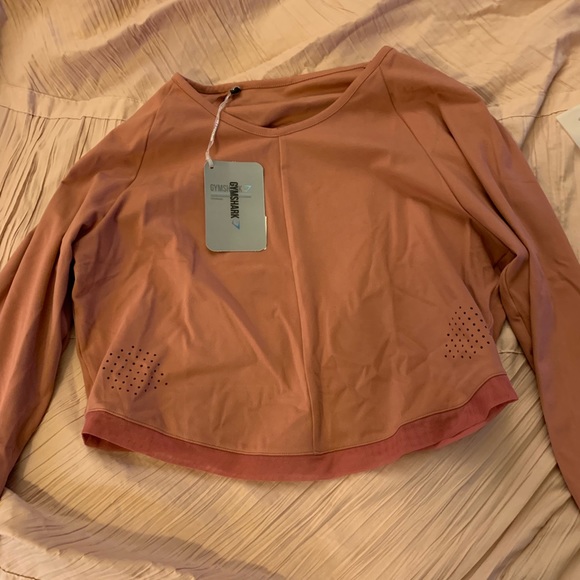 Gymshark Tops - Whitney Simmons x Gymshark Moab Brick Crop Top